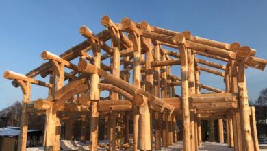 Photo of Дом из древесины: уникальные дизайнерские решения